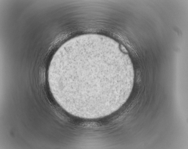 X0000115300685200912141117