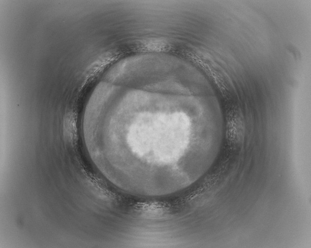 X0000115300688200912141117