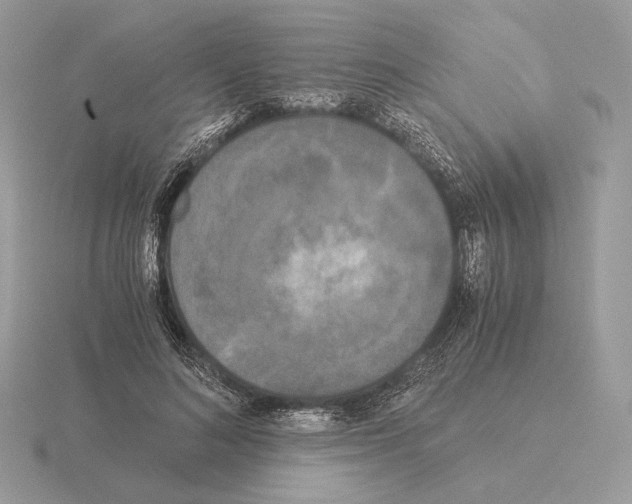 X0000115300692200912141117