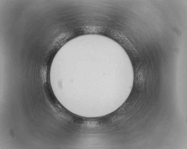 X0000115300694200912141117