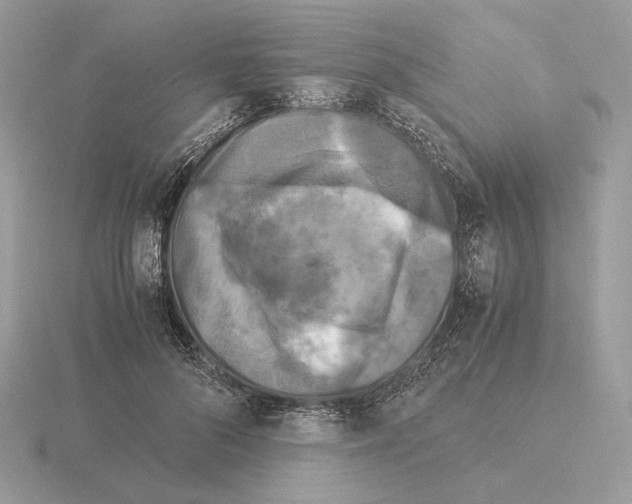 X0000115300696200912141117