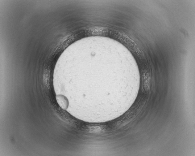 X0000115300698200912141117