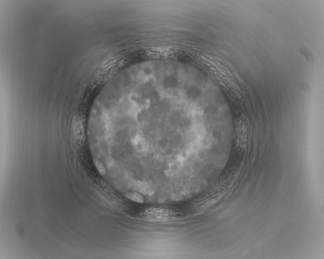 X0000115300699200912141117