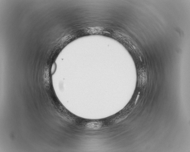 X0000115300700200912141117