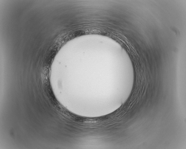 X0000115300701200912141117