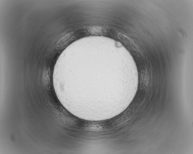 X0000115300702200912141117