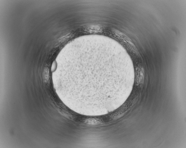 X0000115300704200912141117