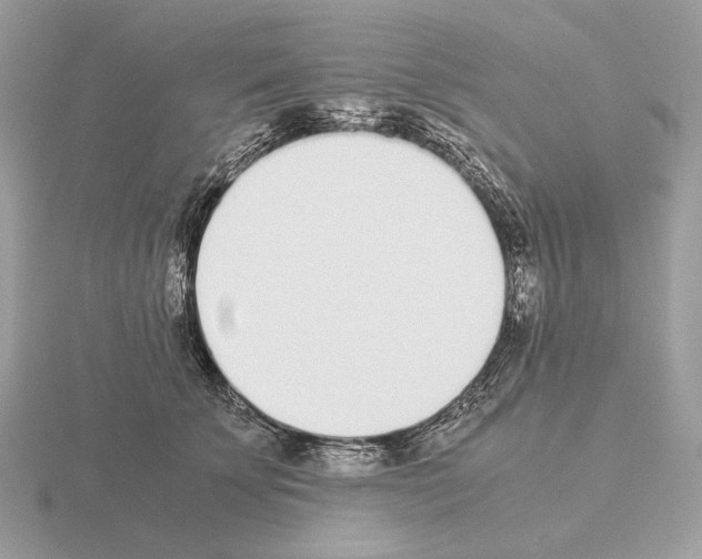 X0000115300707200912141117