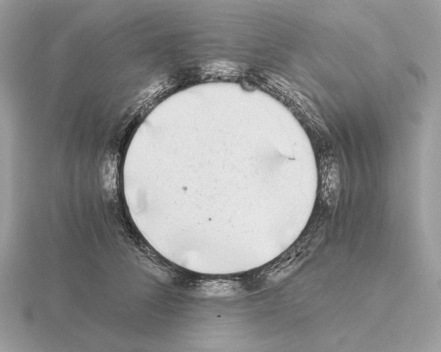 X0000115300708200912141117