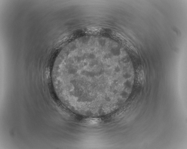 X0000115300711200912141117