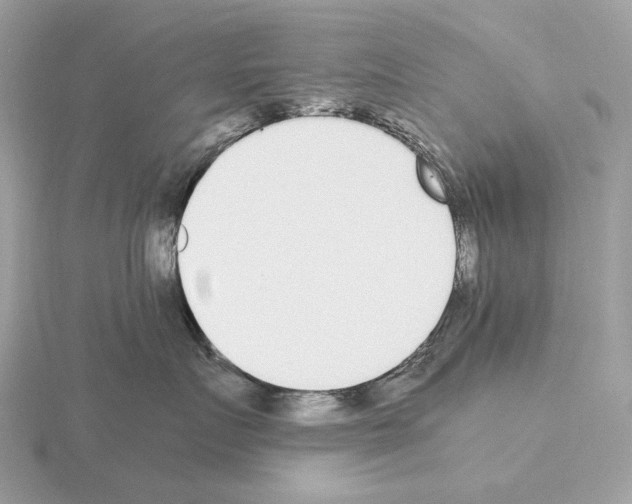 X0000115300719200912141116