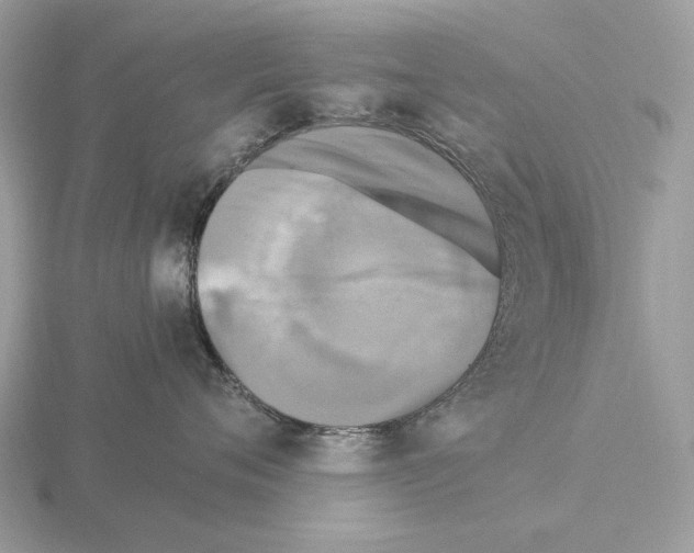 X0000115300720200912141116