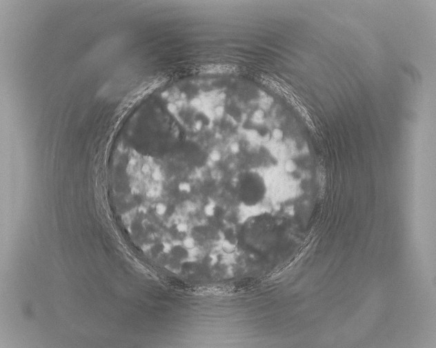 X0000115300721200912141116