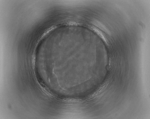 X0000115300722200912141116