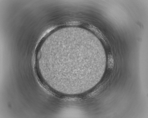 X0000115300726200912141116