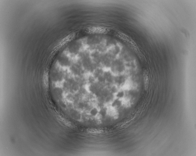 X0000115300729200912141116