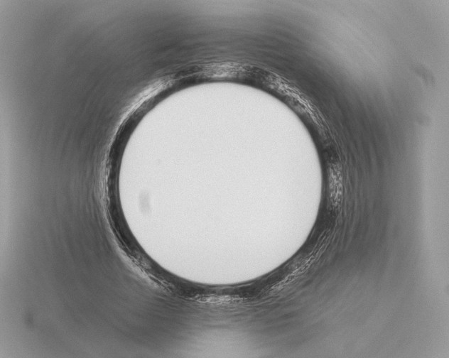 X0000115300730200912141116