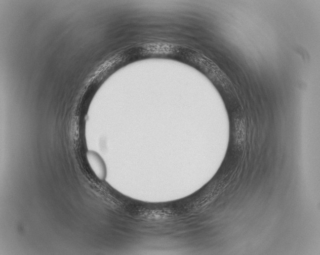 X0000115300731200912141116