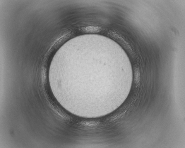 X0000115300733200912141116