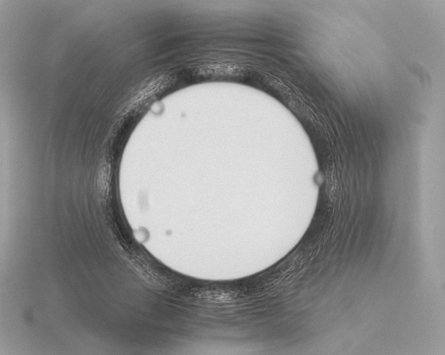 X0000115300735200912141116