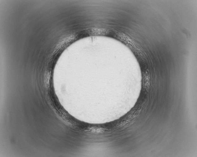 X0000115300742200912141116