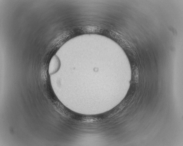 X0000115300746200912141116