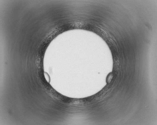 X0000115300750200912141116