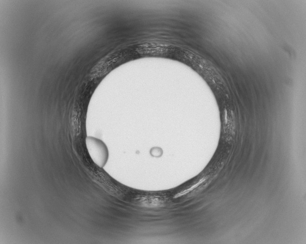 X0000115300751200912141116