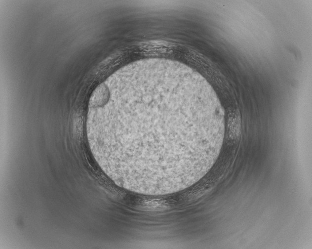 X0000115300753200912141116