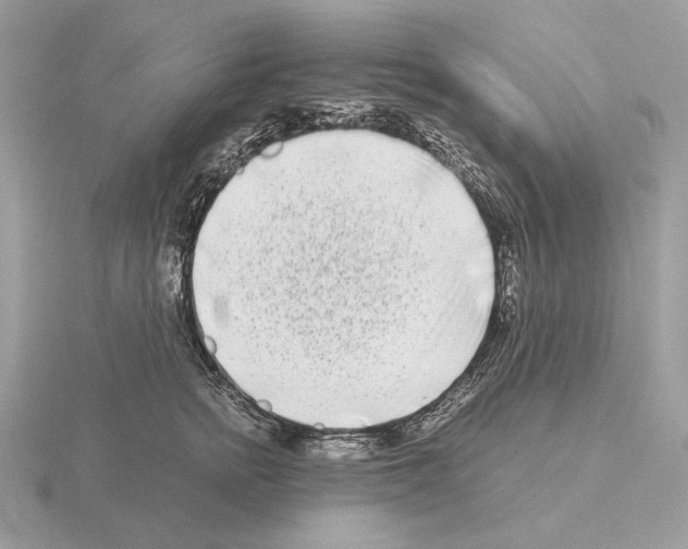 X0000115300758200912141116