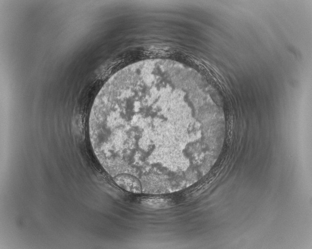 X0000115300759200912141116