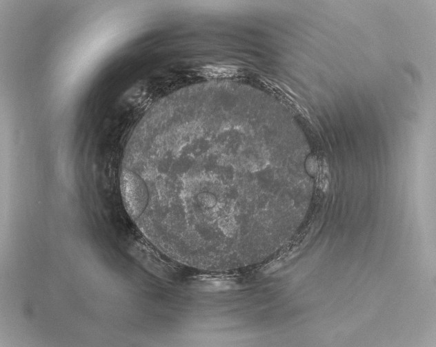 X0000115300763200912141116