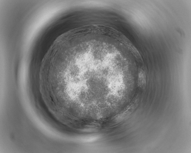 X0000115300765200912141116