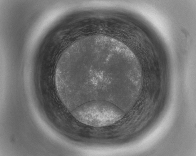 X0000115300766200912141116