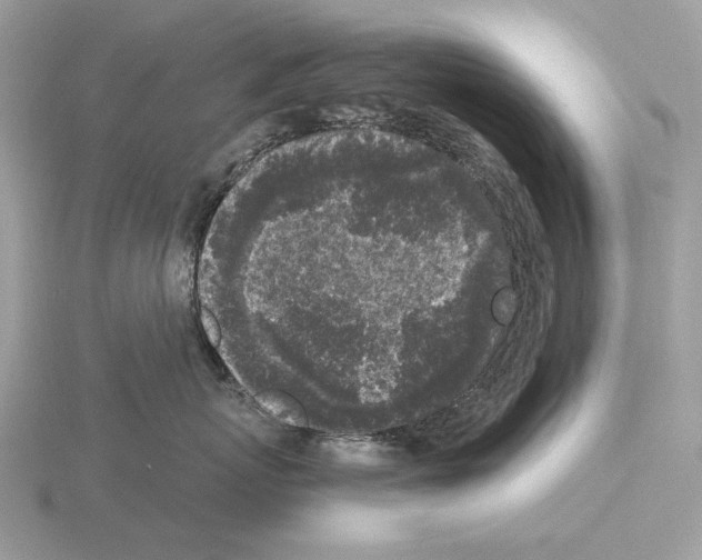 X0000115300767200912141116