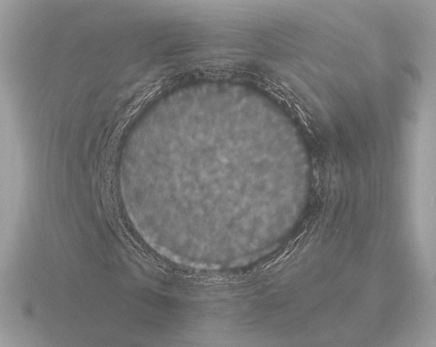 X0000115300769200912141116