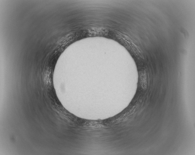 X0000115300770200912141116