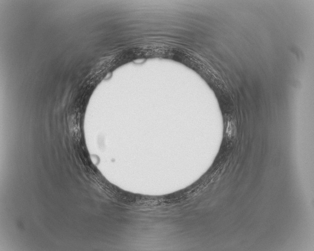 X0000115300771200912141116