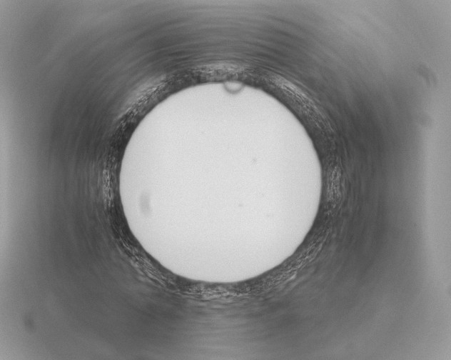 X0000115300774200912141116