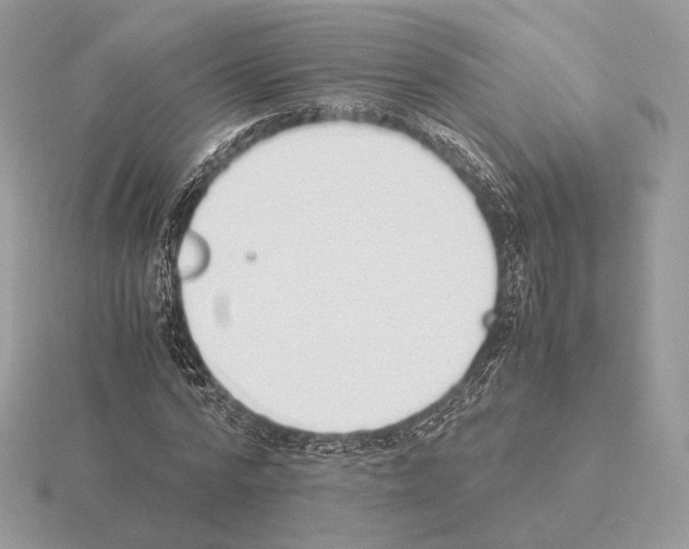 X0000115300776200912141116