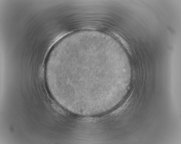 X0000115300779200912141116