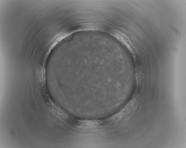 X0000115300781200912141116