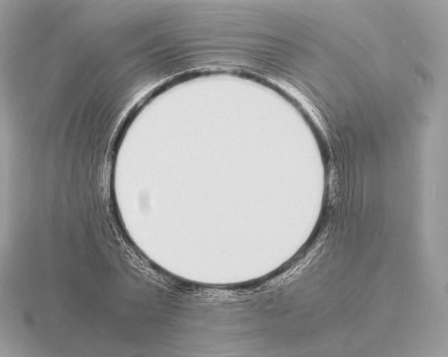 X0000115300783200912141116