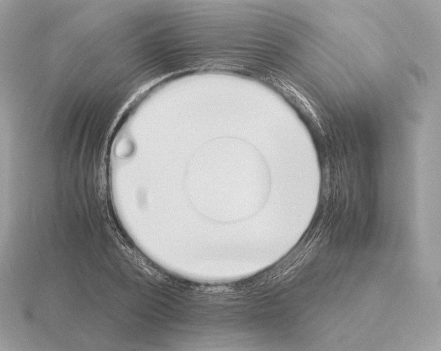 X0000115300784200912141116