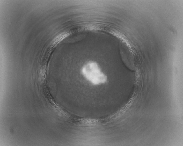 X0000115300785200912141116