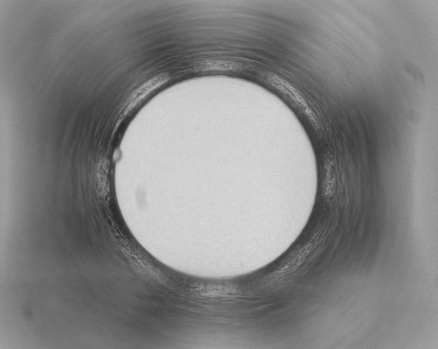 X0000115300786200912141116