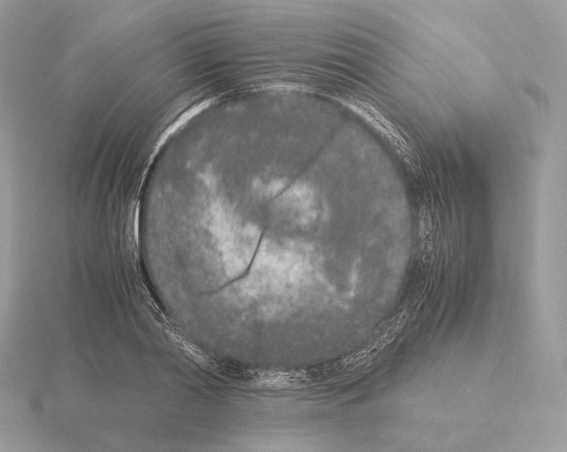 X0000115300790200912141116