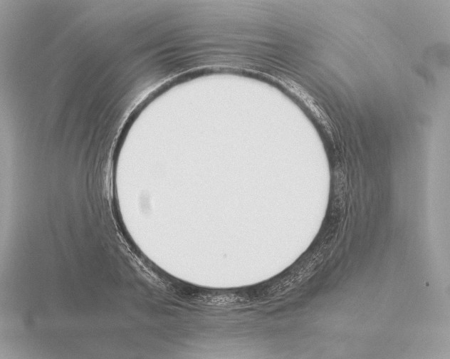 X0000115300791200912141116