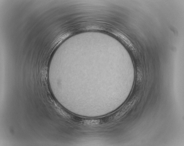 X0000115300793200912141116