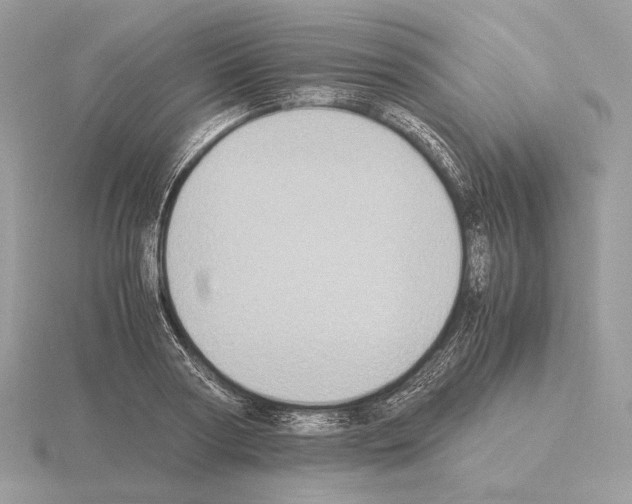 X0000115300794200912141116